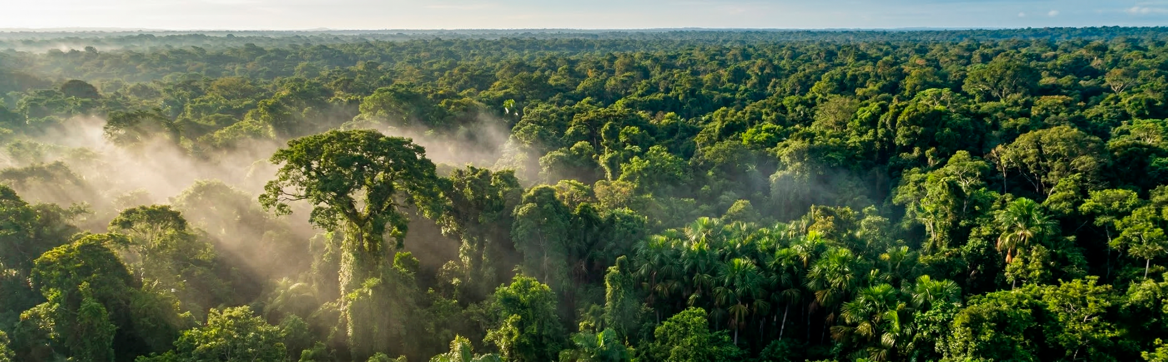 Seguro Ambiental